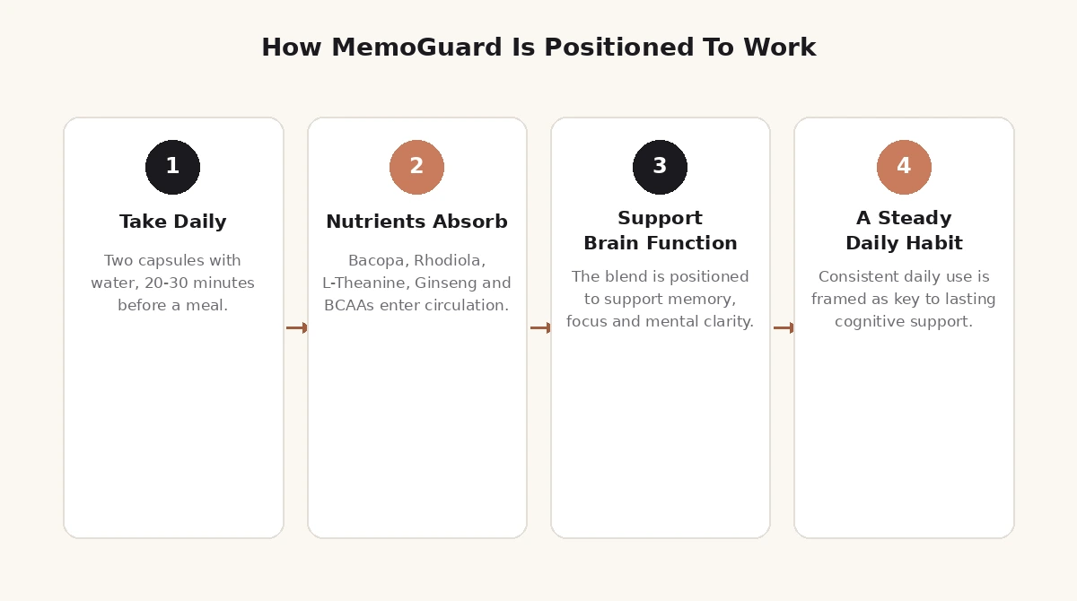How MemoGuard works: take daily, nutrients absorb, support brain function, steady daily habit